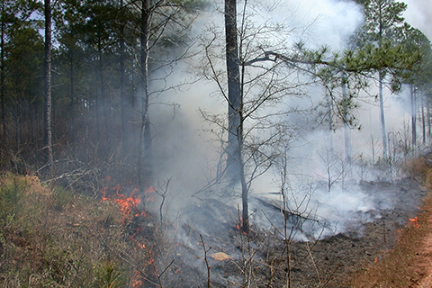 Controlled burning