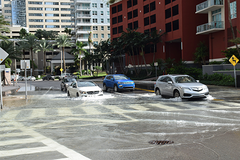 Miami king tide 2019