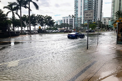 Car drives through flood water in Miami