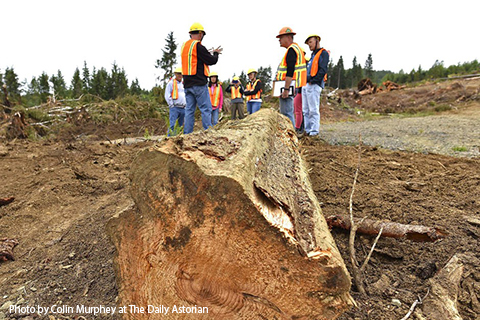A site is cleared for the new location of the Seaside school