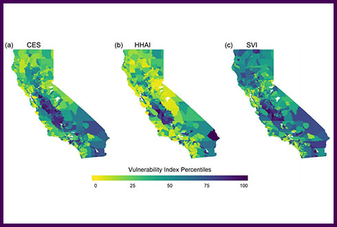 Turek-Hankins paper image